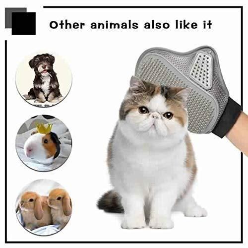 Stainless Steel Pet Grooming Glove – Gentle Deshedding Brush for Dogs & Cats