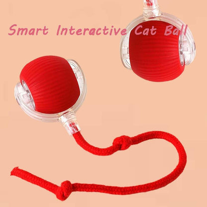 Viral Rolling Ball – Interactive Cat Ball Toy for Active Play