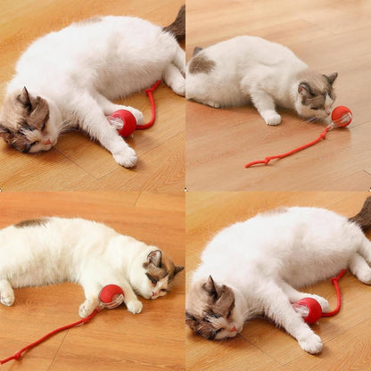 Viral Rolling Ball – Interactive Cat Ball Toy for Active Play