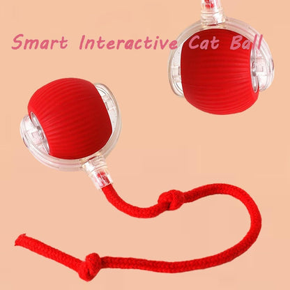Viral Rolling Ball – Interactive Cat Ball Toy for Active Play