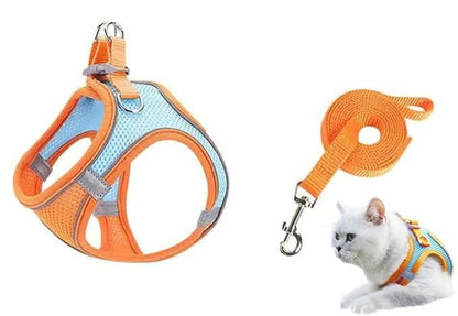 Cat Harness with Leash Adjustable Comfortable – Secure & Gentle Pet Walking Set