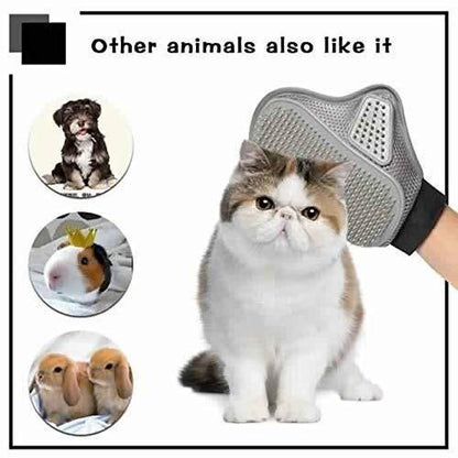 Stainless Steel Pet Grooming Glove – Gentle Deshedding Brush for Dogs & Cats