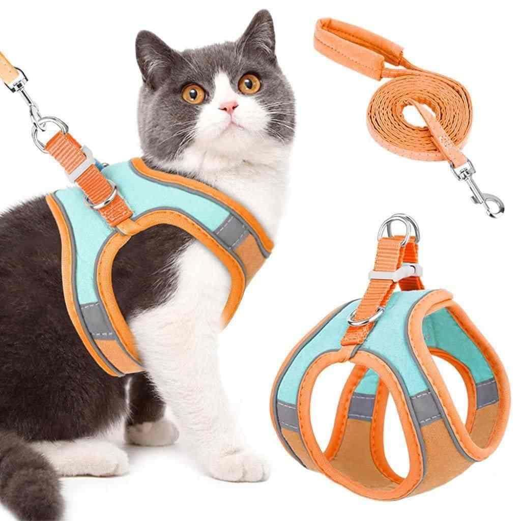 Cat Harness with Leash Adjustable Comfortable – Secure & Gentle Pet Walking Set