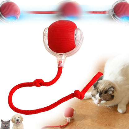 Viral Rolling Ball – Interactive Cat Ball Toy for Active Play