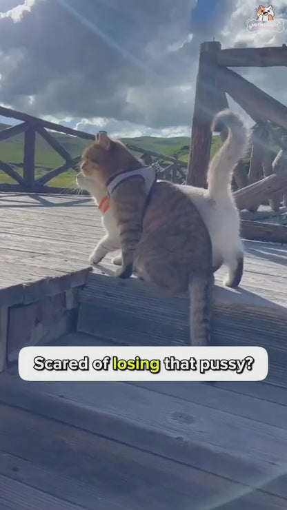 Cat Harness with Leash Adjustable Comfortable – Secure & Gentle Pet Walking Set