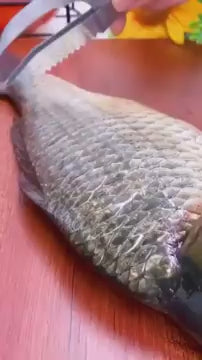 3-in-1 Stainless Steel Fish Scaler Scrapper – Multi-Functional Kitchen Tool