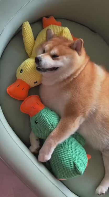 Stuffed Squeaky Plush Dog Toy – Soft, Interactive & Engaging Chew Toy for Pets