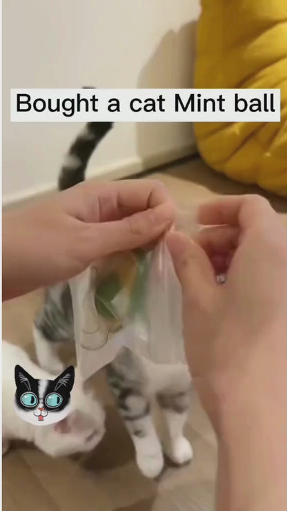 Catnip Minty Avocado Ball Toy – Natural Dental Care & Fun Chew Ball for Cats