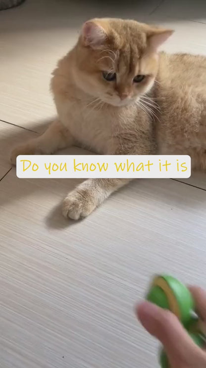 Catnip Minty Avocado Ball Toy – Natural Dental Care & Fun Chew Ball for Cats